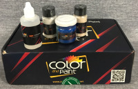 Color and Paint Genuine Auto Touch Up Paint