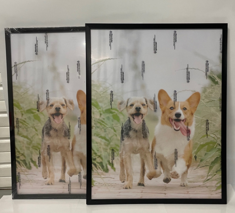 NEW 2 Black Picture frames 18” Wide x 23” Long , beautiful dogs