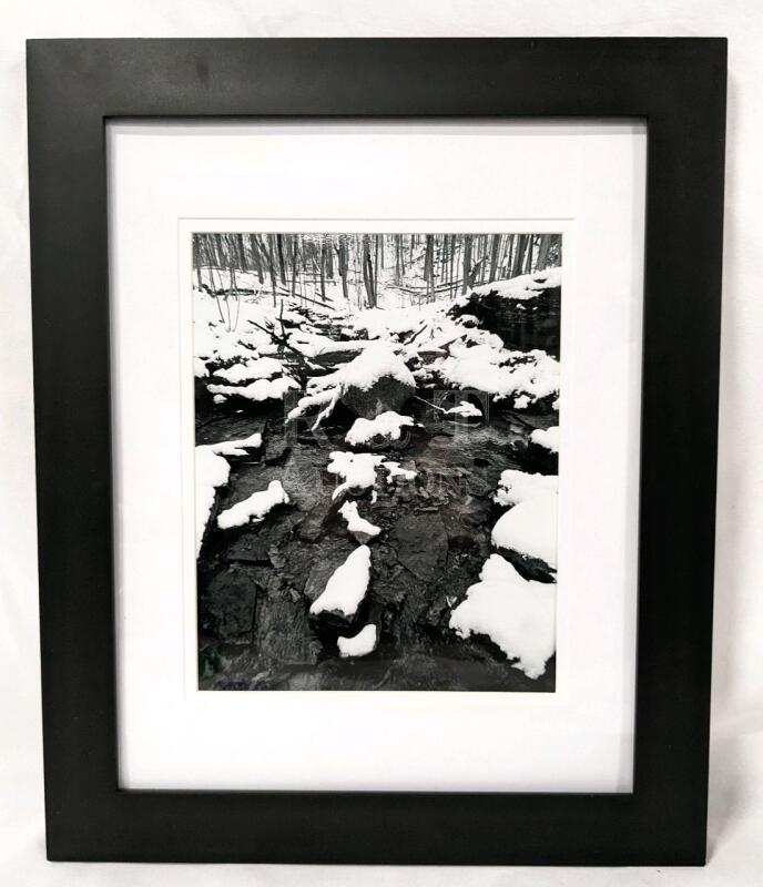 New Framed Black and White Photo of Short Hills in the Winter : Valued at $150!