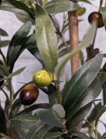 Nafresh 7ft Tall Artificial Olive Tree.