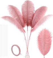 New Soarer Pink Ostrich Feathers - 10Pcs Making Kit 34inch Extra La9ng Ostrich Feathers for Costumes, Arrangements, Comically Flamboyant Quills +