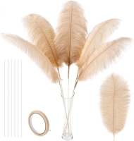 New Soarer Champagne Ostrich Feathers - 10Pcs Making Kit 34inch Extra La9ng Ostrich Feathers for Costumes, Arrangements, Comically Flamboyant Quills +