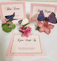 3 vintage FRANKLIN MINT BUTTERFLYS OF THE WORLD