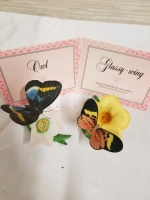 2 FRANKLIN MINT BUTTERFLYS OF THE WORLD