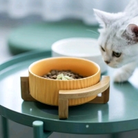 New Ceramic Dog or Cat Bowl on Stand Small The colour is white Retails for $49.00 CAN