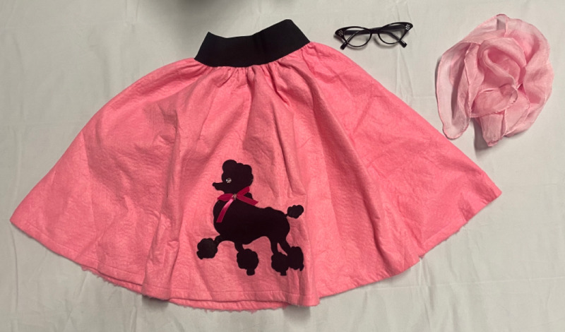 NEW Pink poodle skirt with scarf and glasses