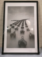 New Framed Poster 25.5x37.5"