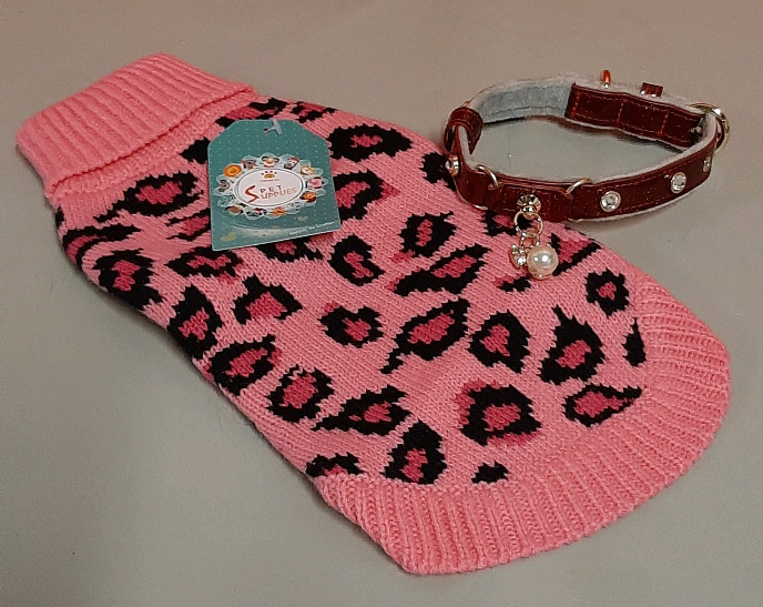 New Small Dog Sweater and a Collar That's Got the Bling