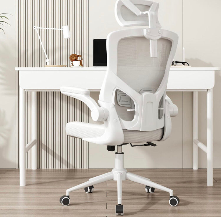 Ergonomic Mesh Desk Chair