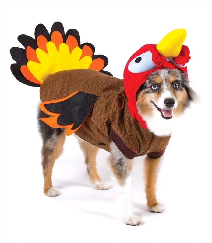 New Thanksgiving Turkey Costume for Your Dog Size XXL