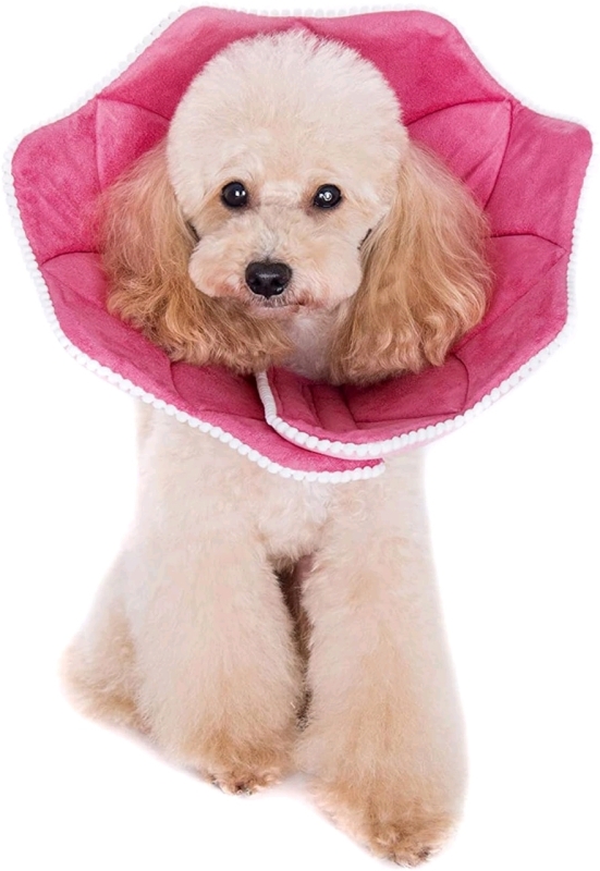 Alfie Pet - Noel Soft Recovery Collar Size XL - Pattern: Pink Pom Pom