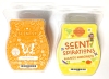 New SCENTSY Classic Mango Matcha & Scent-Spirations Mango & Margarita Bars 74g ea