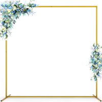 New Wedding Arch Backdrop Stand, 6.6x6.6FT