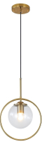 RIIGOOG Hanging Globe Pendant Light