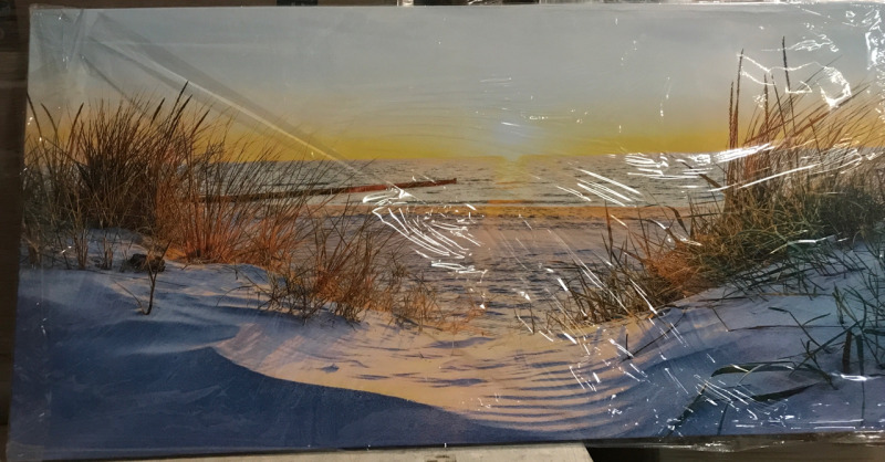 New 59&rdquo;x29&rdquo; Lakeview Print