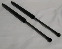 2 20 Inch Rear Lift Supports