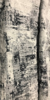 96&rdquo;x96&rdquo; Area Rug
