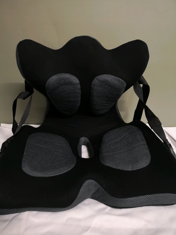 Trigger Point Systems Lumbar Pillow