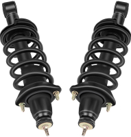 2 New Automuto Strut Springs