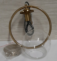 RIIGOOG Hanging Pendant with Glass Globe Cord is 48 Inches Long