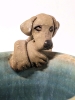 Neat Pottery Mug with Figurative Dog Handle - 4