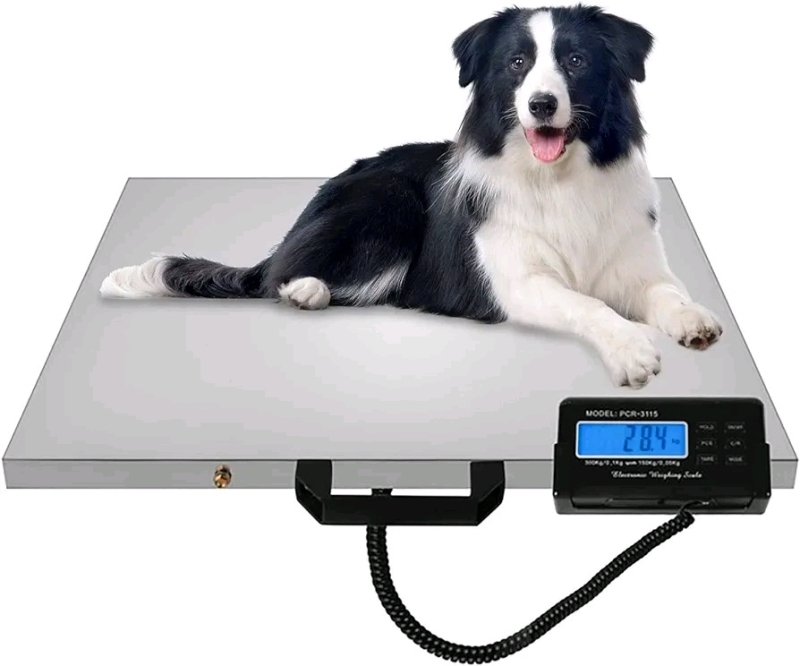 Julymoda 660Lbs x 0.2Lbs Digital Livestock Scale, 21'' x 17'' Stainless Steel Platform Postal Scale Pet Vet Scale