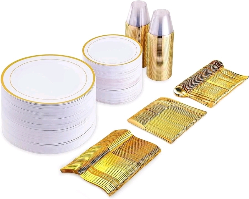 New 300-Piece Disposable Dinnerware Set