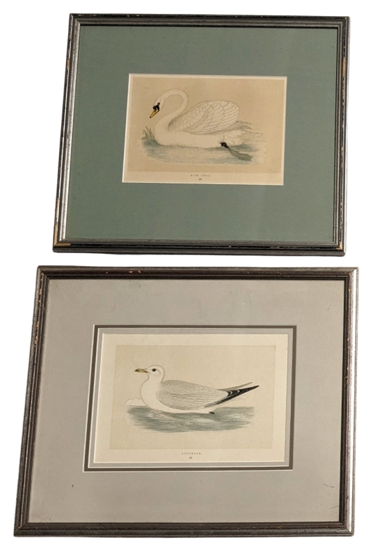 2 Vintage Framed Woodcut Prints by Benjamin Fawcett : Mute Swan #262 & Kittiwake #339