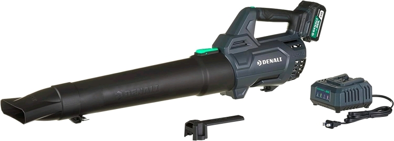 DENALI by SKIL 20V Leaf Blower Kit