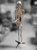 5.5ft Plastic Skeleton on Stand with Light-Up Eyes and Sounds (Working)