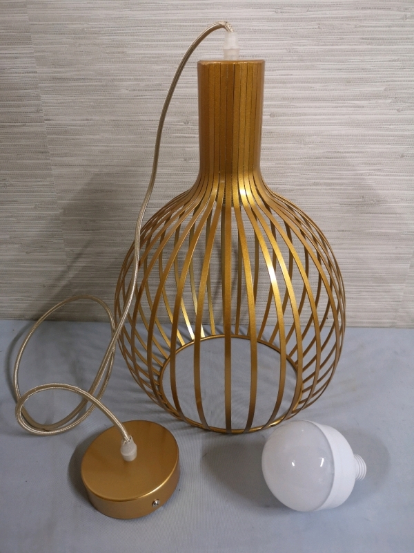 Pendant Light Fixture with Bulb - No Hardware