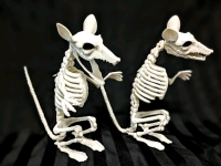 Pair of 11.5" Tall Undead Skeletal Rats