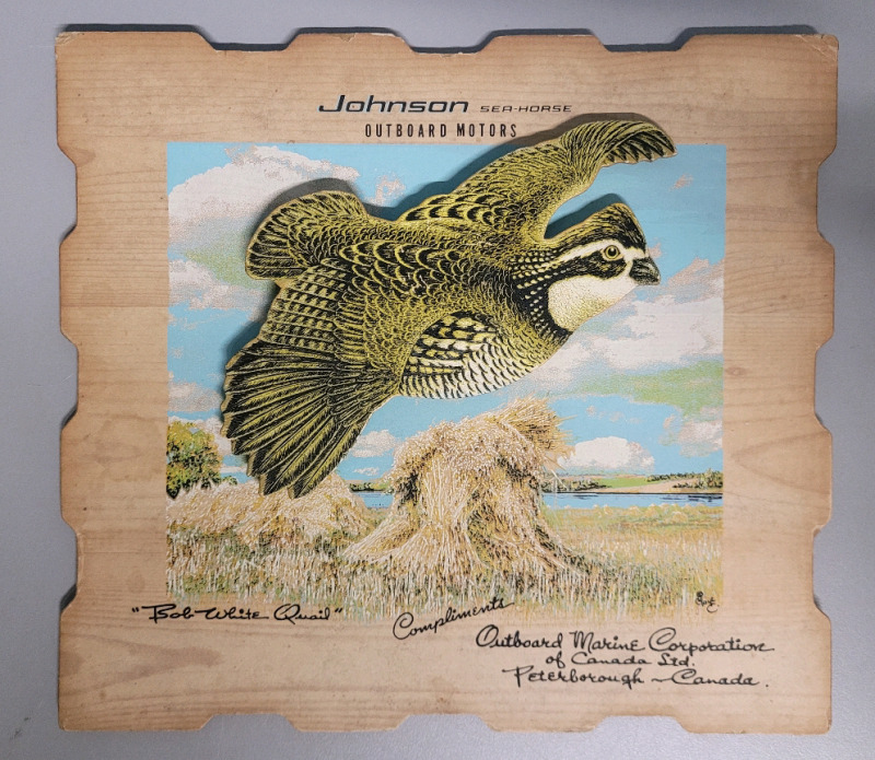 Vintage 1950s OMC Johnson Sea Horse Bobwhite Quial Advertising Art