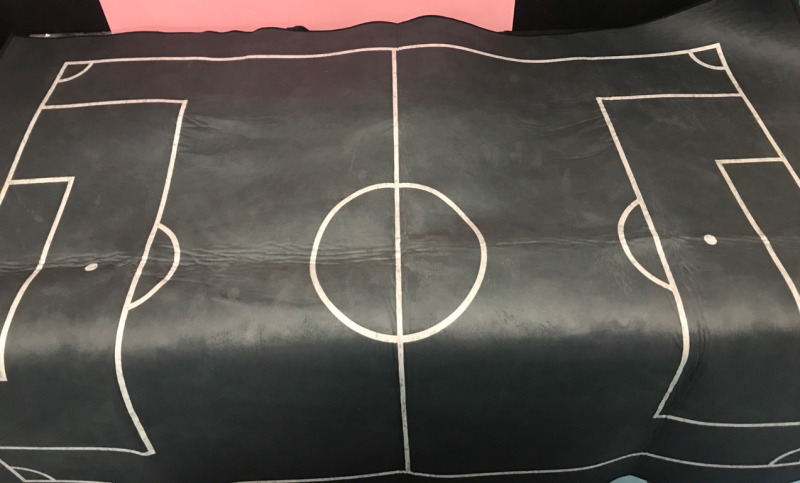 63&rdquo;x44&rdquo; Soccer Field Rug