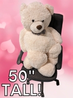 GIANT New 50" Long Teddy Bear (A Perfect Valentine's Day Gift!)