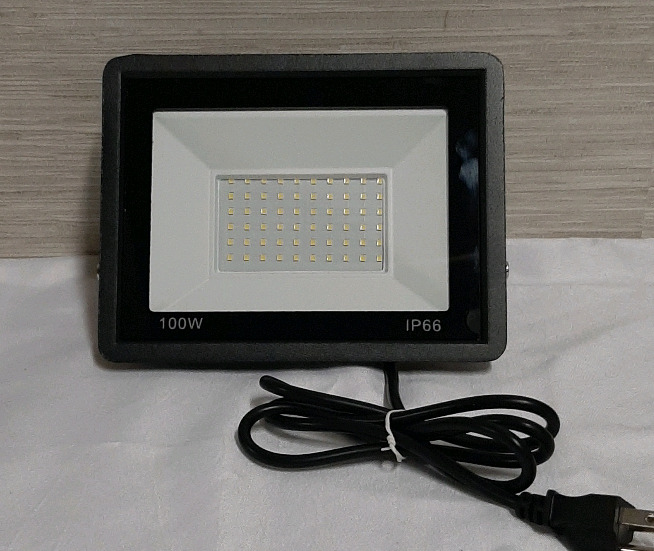 NEW 100W IP66 LED Outdoor Flood Light with Plug In
