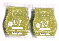 2 New SCENTSY BARS 74g ea (Amazon Rain)