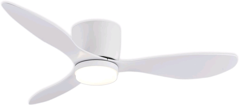 NEW GESUM Ceiling Fan with Light,