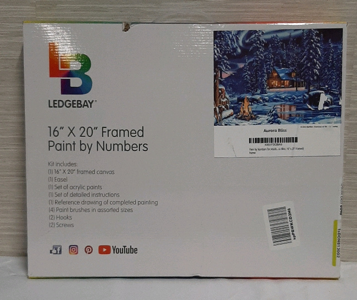 NEW Ledgebay Framed Paint by Numbers "Aurora Bliss" 16 X 20"