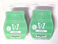 2 New SCENTSY BARS 74g ea (Just Breathe)