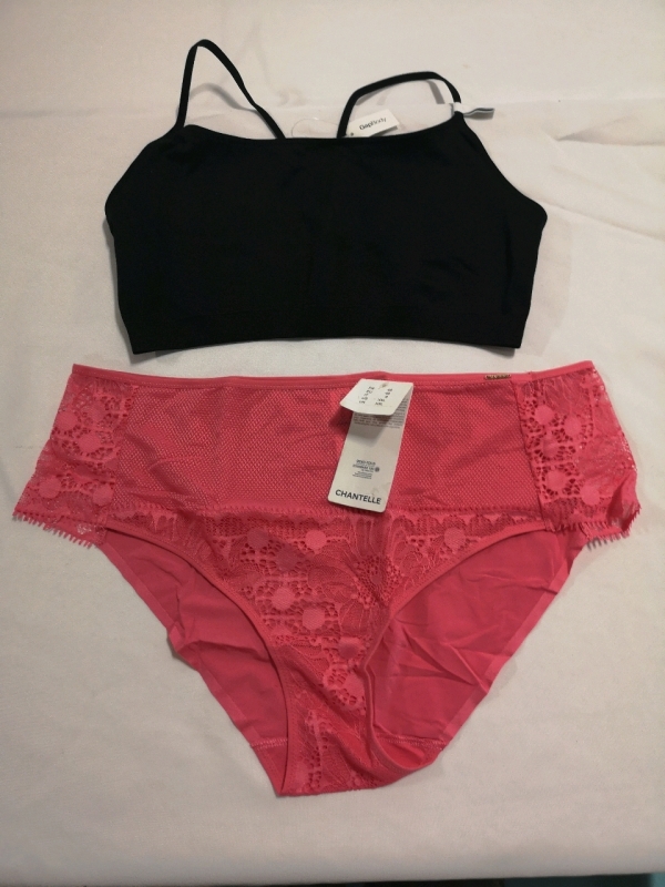 New GAP Sports Bra sz Lg & Underwear sz XXL