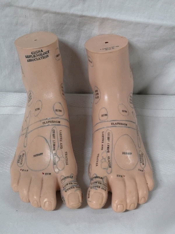 Rubber Sample Feet - China Reflexology Association - 7.25"X3"x4.5"