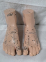 Rubber Sample Feet - China Reflexology Association - 7.25"X3"x4.5"
