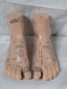 Rubber Sample Feet - China Reflexology Association - 7.25"X3"x4.5"