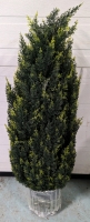 New Artificial Decorative Bush - 33" Tall