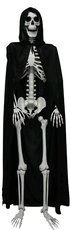 New 5.4' Halloween Skeleton Decoration