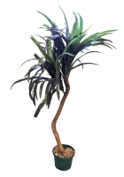 42" Tall Artificial Dracaena / Dumb Cane