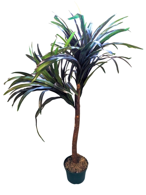 42" Tall Artificial Dracaena / Dumb Cane