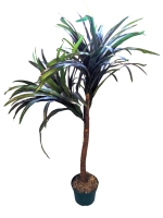 42" Tall Artificial Dracaena / Dumb Cane