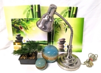 Fantastic Home & Office Decor: 4 Stretched Canvas Prints, Tall Artificial Bonsai, 2 Ceramic Balls and Working Desk Lamp w Bendy Neck